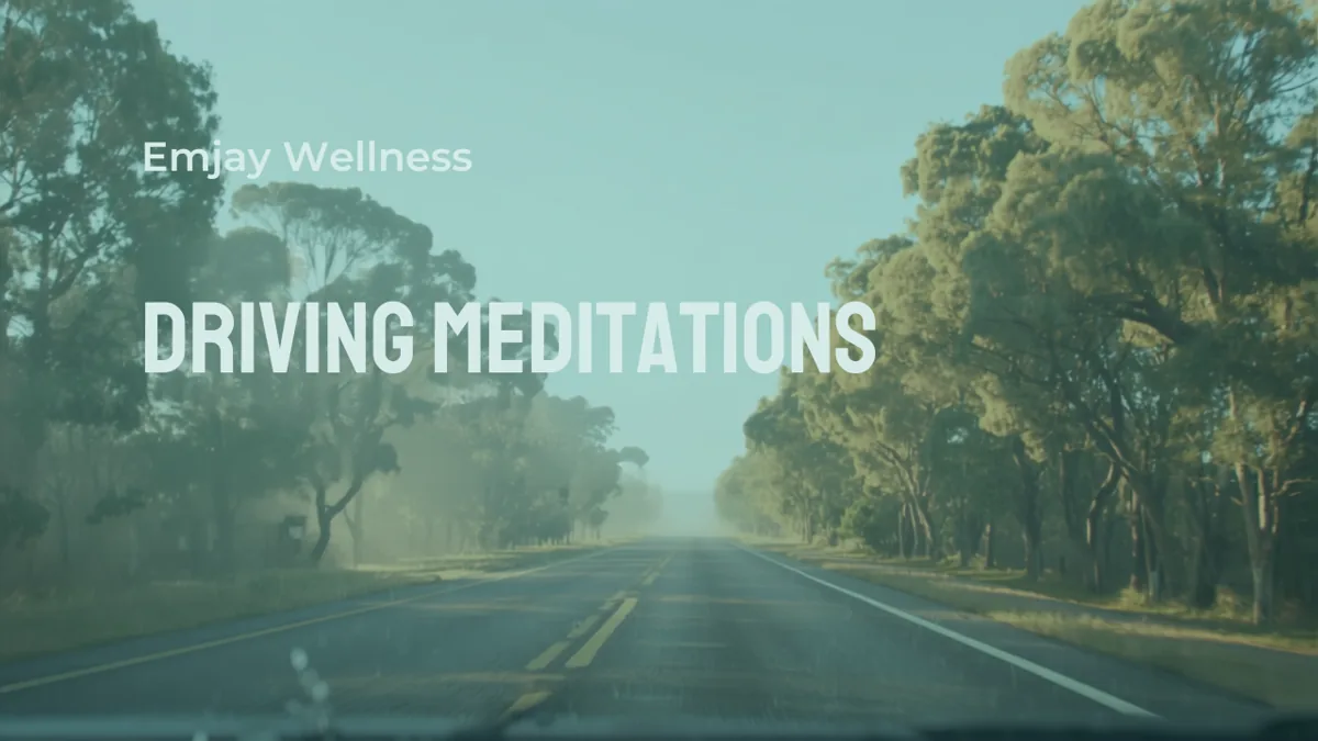 Cover of Driving Meditations